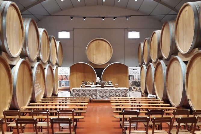 Tasting in the historic cellar of Marsala - Who Should Consider This Tour?