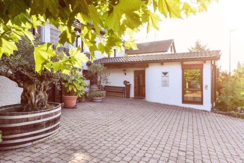 Tasting of 4 non-alcoholic drinks & bread + discount on 1 bottle - Key Points