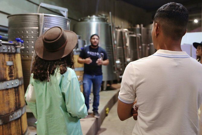 Tasting of 5 wines and tour at the winery Rondo del Valle - Key Points