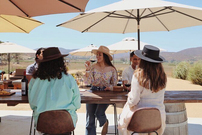 Tasting of 5 wines and tour at the winery Rondo del Valle - An Honest and Detailed Look at the Rondo del Valle Tour