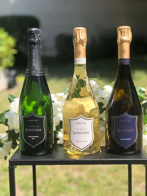 Tasting of Champagne Blanc de Noirs and Cheese in the heart of Reims - Tasting of Champagne Blanc de Noirs and Cheese in the Heart of Reims: An Honest Review