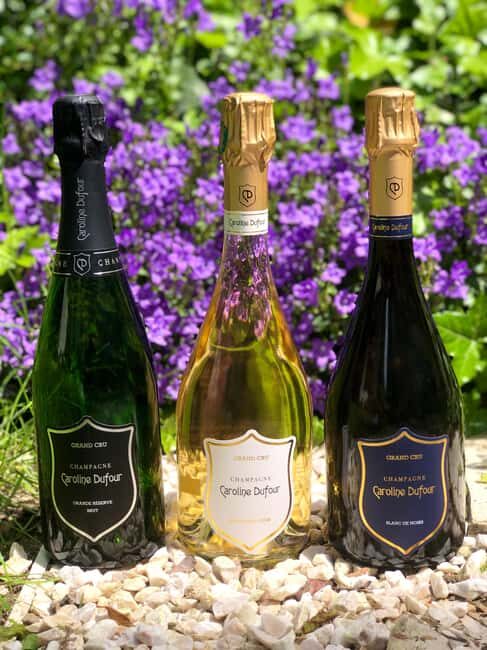 Tasting of Champagne Blanc de Noirs and Cheese in the heart of Reims - Key Points