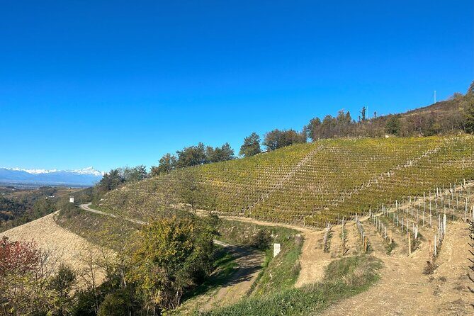 Tasting of Classic Method Sparkling Wines - What Makes This Tour Stand Out?