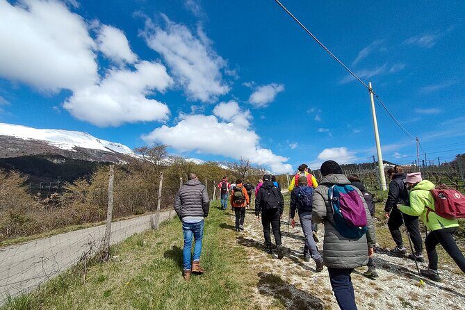 Tasting of Organic Mountain Wines with Vineyard and Cellar Tour - Key Points