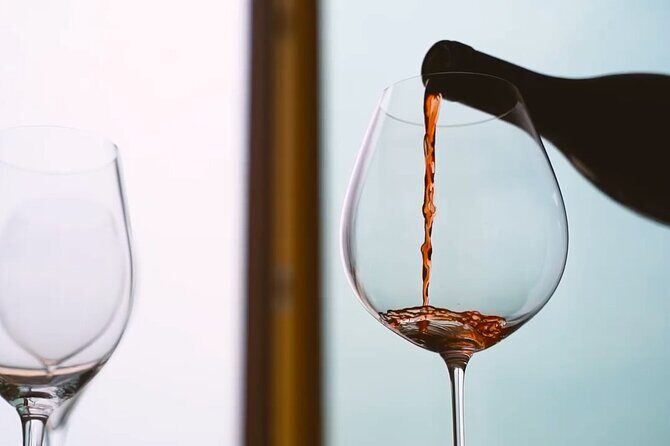 Tasting of Organic Mountain Wines with Vineyard and Cellar Tour - Exploring the Vineyard and Cellar