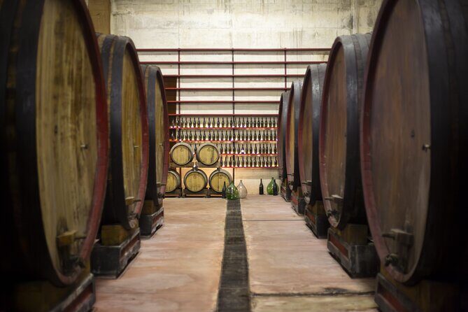 Tasting of Rosso Piceno DOC Superiore - Villa Pigna winery - What to Expect from the Villa Pigna Tasting Tour