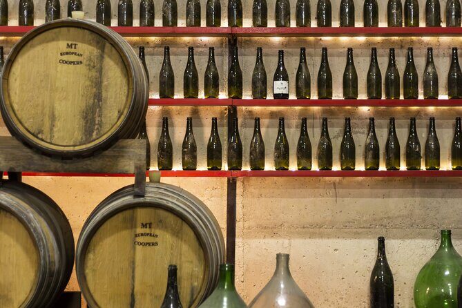 Tasting of Rosso Piceno DOC Superiore - Villa Pigna winery - Pricing and Value