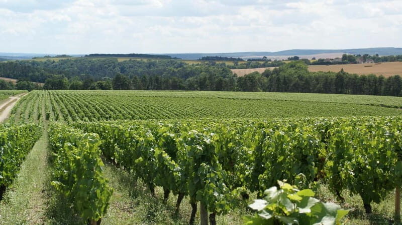 Tasting: Sparkling Discovery - The Itinerary: A Simple but Savvy Approach