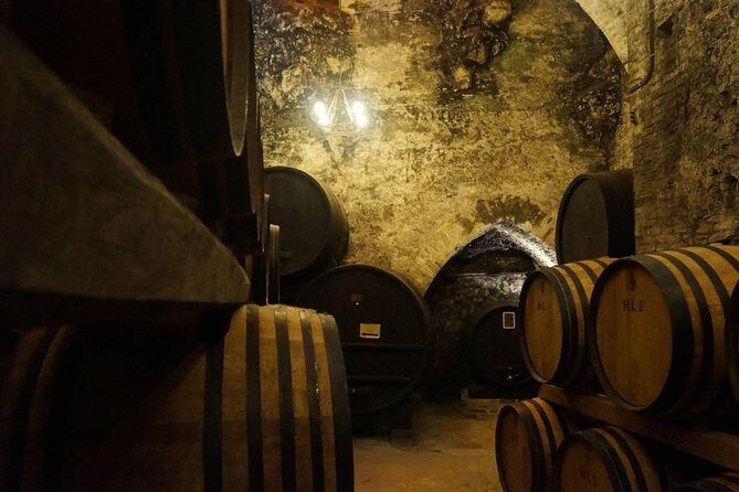 Tasting Tour in One of The Most Beautiful Cellars in the World - Exploring the Tasting Tour in One of the Most Beautiful Cellars in the World