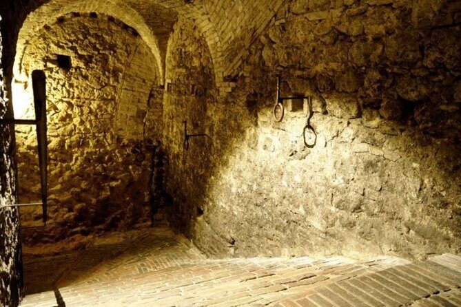 Tasting Tour in One of The Most Beautiful Cellars in the World - The Setting: A Cellar Like No Other