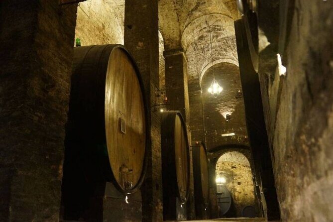 Tasting Tour in One of The Most Beautiful Cellars in the World - The Wines and the Tasting Experience