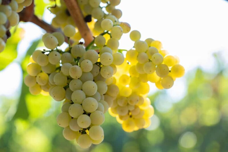 Tastings - Analyzing the Value