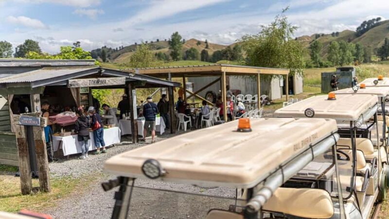 Taumarunui: Forgotten World Rail Cart Tour with Lunch - What Is the Forgotten World Rail Cart Tour?