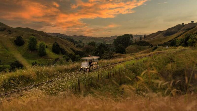 Taumarunui: Forgotten World Rail Cart Tour with Lunch - Highlights and Stops Along the Way