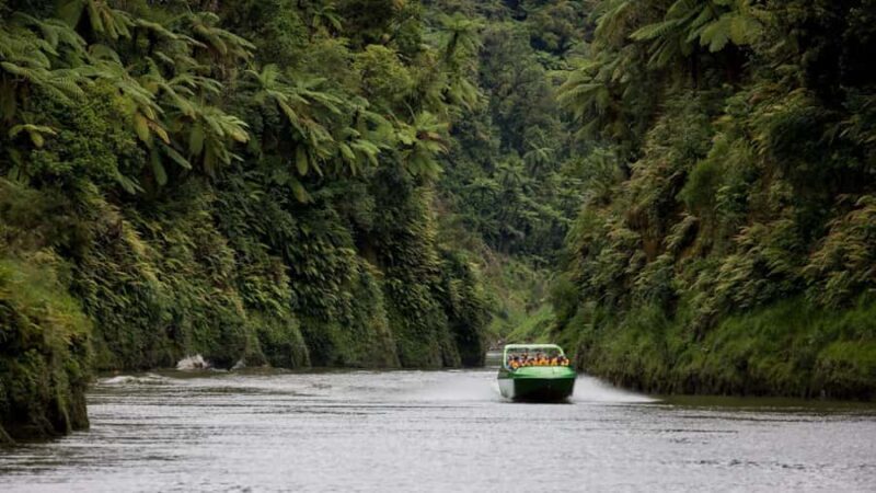 Taumarunui: Railcart and Jetboat Adventure with lunch - Key Points