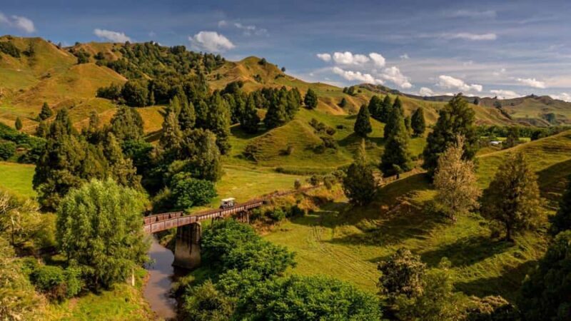 Taumarunui: Railcart and Jetboat Adventure with lunch - Who Will Enjoy This Tour?