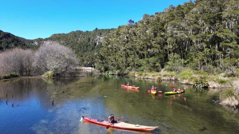 Taup: Hidden Lake Kayak Tour with Sunken Forest Views - Discover the Serenity of Taups Hidden Lake Kayak Tour