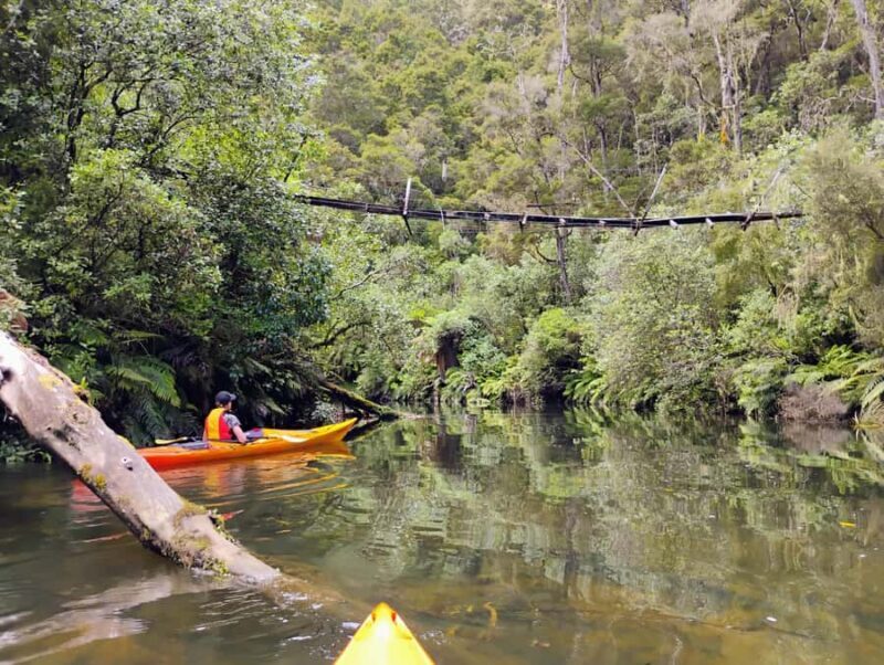 Taup: Hidden Lake Kayak Tour with Sunken Forest Views - The Practicalities