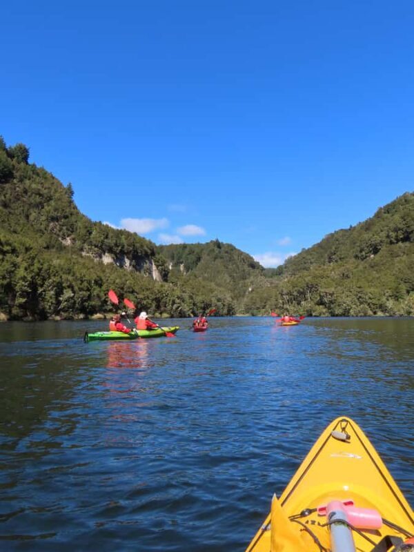 Taup: Hidden Lake Kayak Tour with Sunken Forest Views - Who Should Consider This Tour?