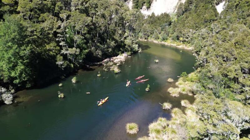 Taup: Hidden Lake Kayak Tour with Sunken Forest Views - Final Thoughts