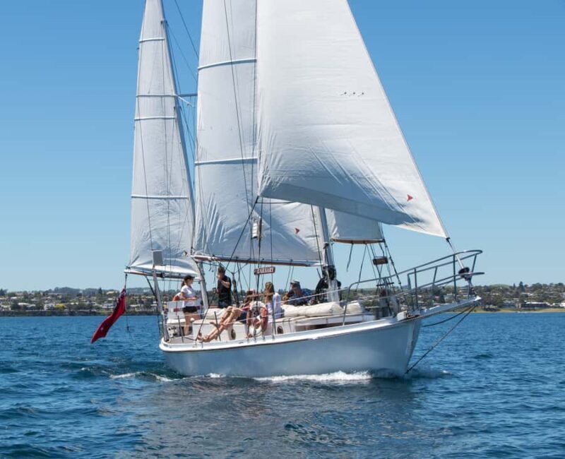 Taup: Sail Barbary Eco Sailing to the Maori Rock Carvings - Value for Money and Practical Details