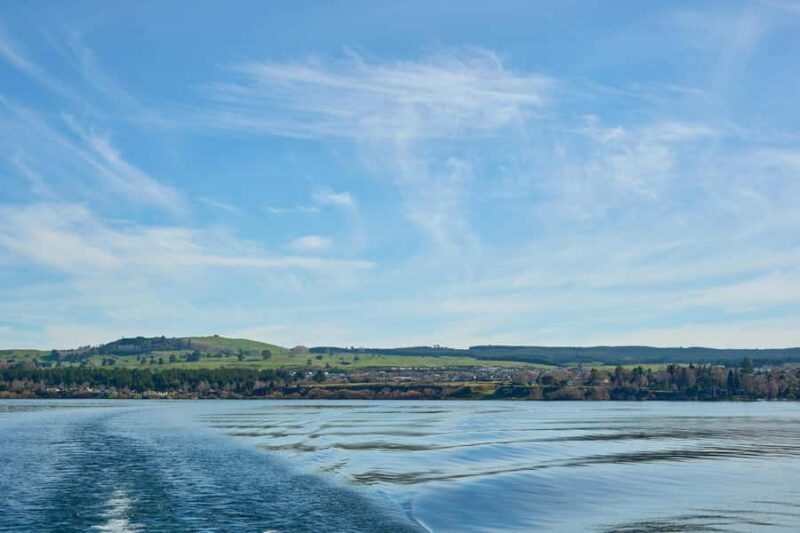 Taupo/Turangi: The Torohe Half-Day Horse Trek - Key Points