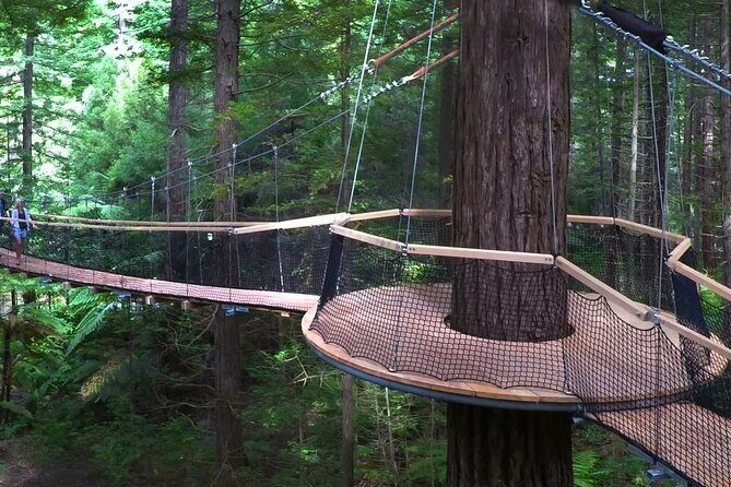 Tauranga Cruise Tour Rotorua Redwood and Maori Village Experience - Key Points