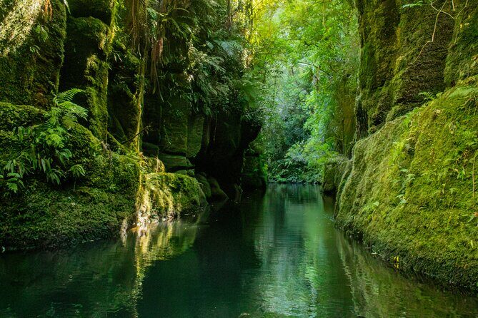 Tauranga Daytime Scenic Lake McLaren Tour - An Honest Look at the Experience