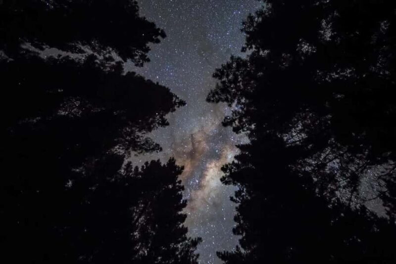 Tauranga: Evening Big Kanu Glowworm Tour - The Scenic Surroundings and Additional Highlights