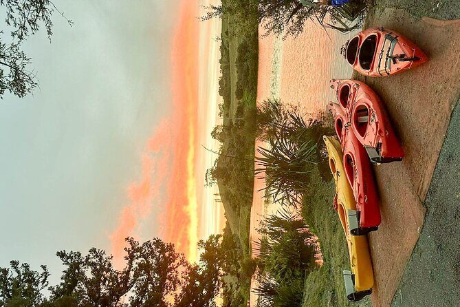 Tauranga: Evening Glowworm Kayak Tour - An Honest Look at the Experience