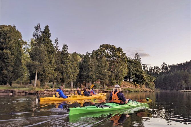 Tauranga: Evening Glowworm Kayak Tour - The Value and Price Point