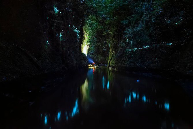 Tauranga: Evening Glowworm Kayak Tour - Who Is This Tour Best For?