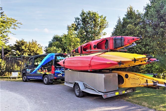 Tauranga: Evening Glowworm Kayak Tour - Final Thoughts