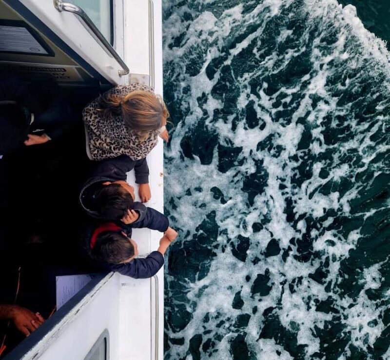 Tauranga Harbour Cruise - Who Is This Tour Best For?