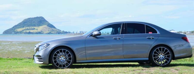 Tauranga: Kiwifruit Destination and Sights Shore Excursion - Key Points