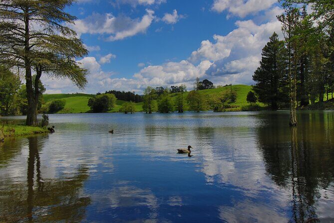 Tauranga Shore Excursion: Top Half Day Curated Highlights Tour - Key Points