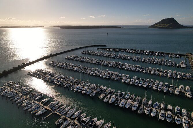 Tauranga Shore Excursion: Top Half Day Curated Highlights Tour - Frequently Asked Questions