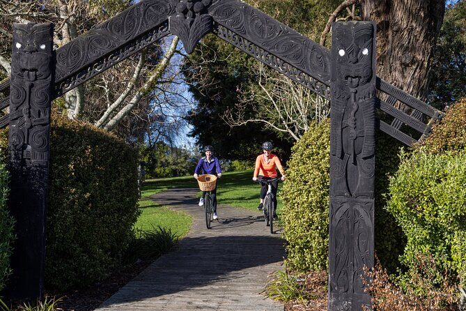 Tauranga Shore Excursion: Top Half Day Curated Highlights Tour - Final Thoughts