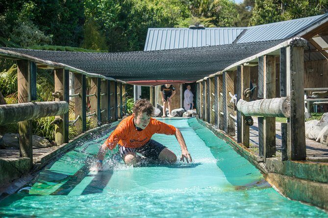 Tauranga: Waimarino Adventure Park - An Overview of Waimarino Adventure Park in Tauranga