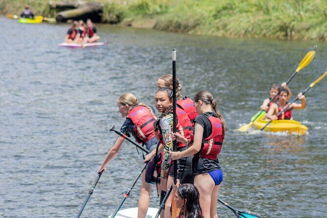 Tauranga: Waimarino Adventure Park - Who Will Love This?