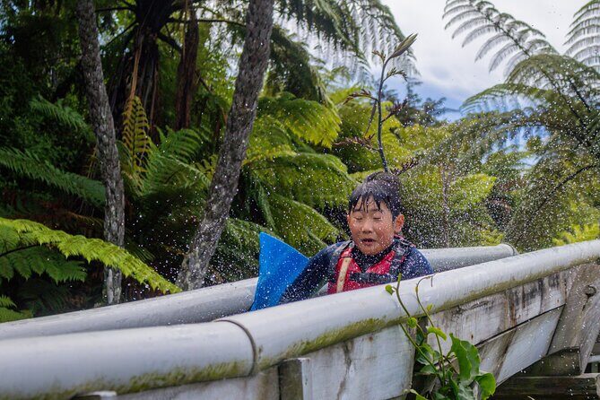 Tauranga: Waimarino Adventure Park - Practical Tips for Visiting