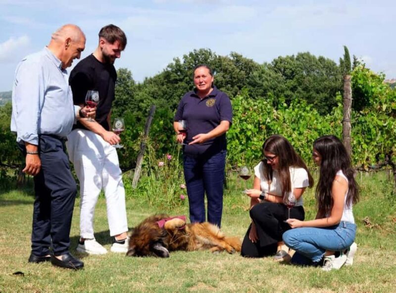 Taurasi Wine Journey: Taste DOCG Wines & Local Delights - Final Thoughts