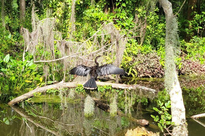 Tavares Half-Day Kayak Rental for Two on the Dora Canal - Key Points