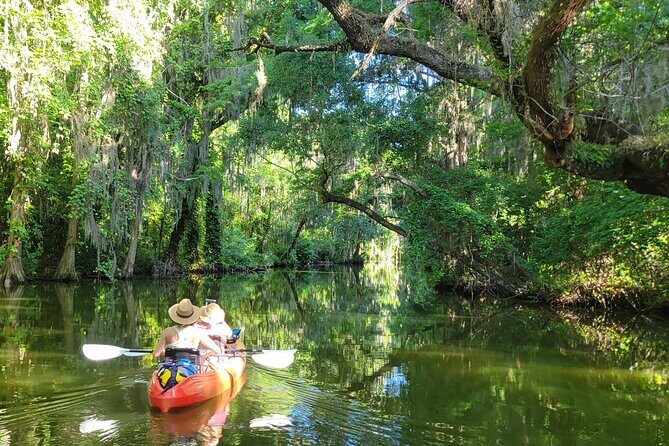 Tavares Half-Day Kayak Rental for Two on the Dora Canal - Who Is This Tour Best For?