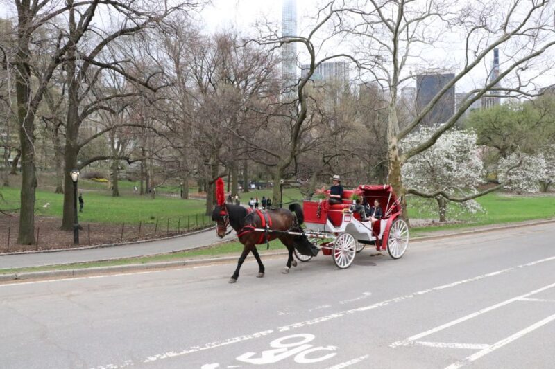 Tavern on the Green PickUp&DropOff With Horse Carriage Ride - What’s This Experience All About?