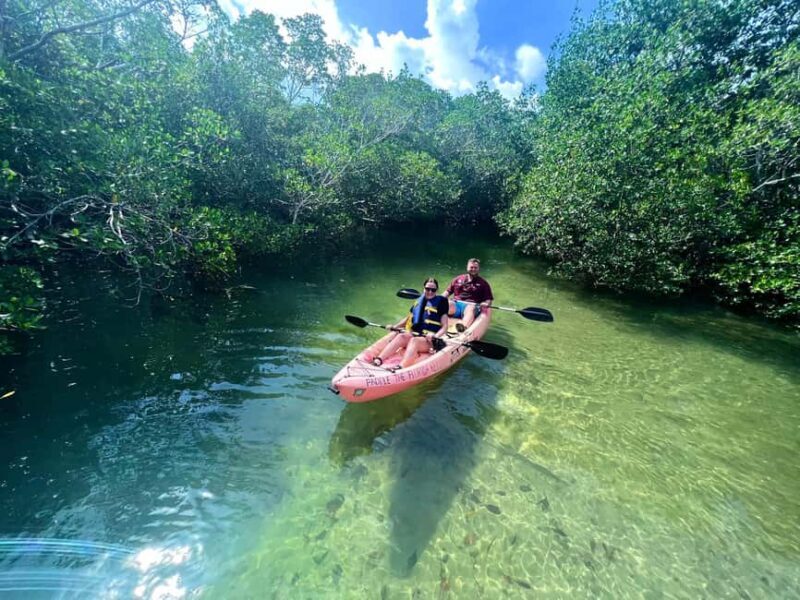 Tavernier, FL: Mangrove and Manatees Guided Kayak Eco Tour - An In-Depth Look at the Tour Experience