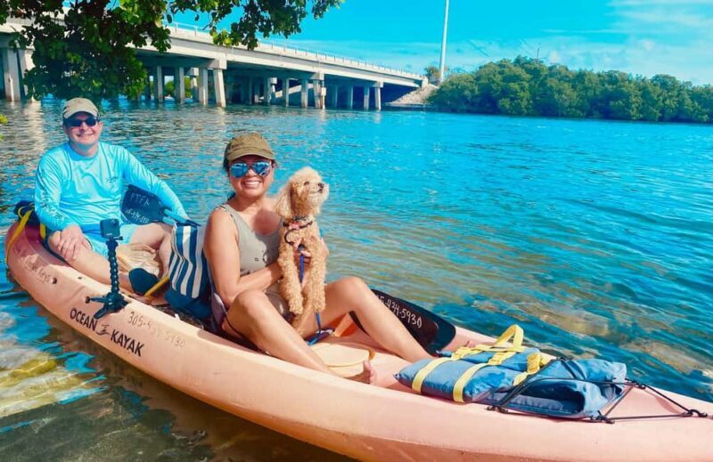 Tavernier, FL: Mangrove and Manatees Guided Kayak Eco Tour - Is This Tour Right for You?