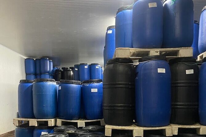 Tavira Olive Experience Factory Tour and Tasting - Who Is This Tour Perfect For?