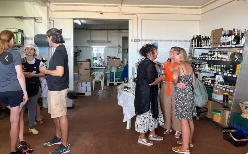 Tavira: Olive Experience with Factory Tour and Tasting - Who Will Love This Tour?