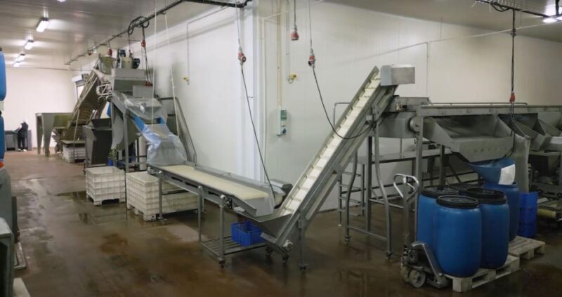 Tavira: Olive Experience with Factory Tour and Tasting - FAQ